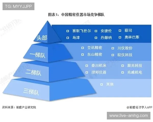 皇冠澳门域名在国际市场中的竞争优势与未来发展趋势分析