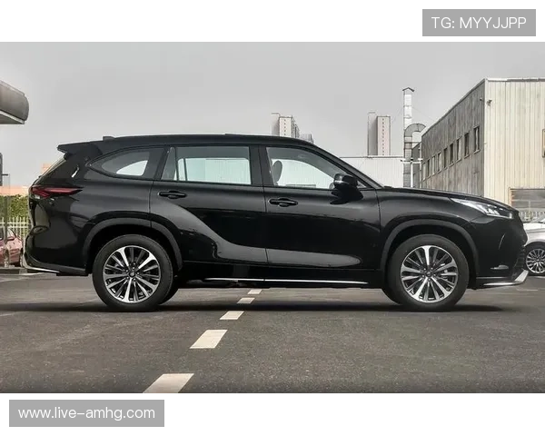 体育皇冠官网手机版网址苹果,最新2026版苹果设备专属官方入口推荐 体育皇冠官网手机版网址苹果,最新2026版苹果设备专属官方入口推荐