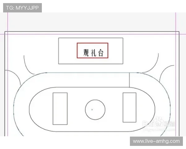 回力球场平面图设计中的常见问题及解决方案详尽总结