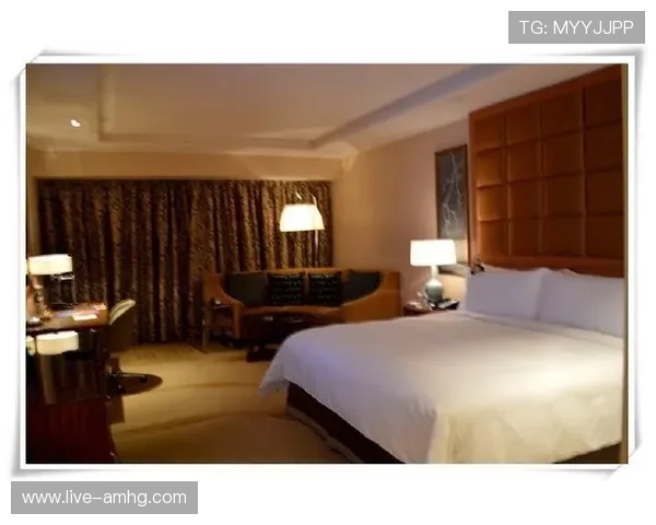 澳门十六浦码头周边酒店住宿推荐，助您轻松安排行程安排