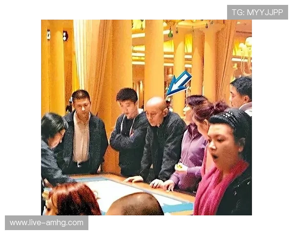 澳门有几家赌场，夜生活丰富程度及娱乐活动推荐参考