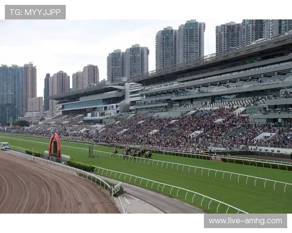 hkjc中文站：香港赛马会中文站的安全保障措施与用户隐私保护方案